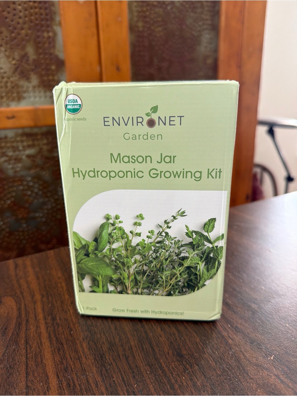 NIB Environet Garden Mason Jar Hydroponic Growing Kit - Bunching Onion